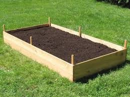 Starting A Raised Garden Bed It S Garden Thyme