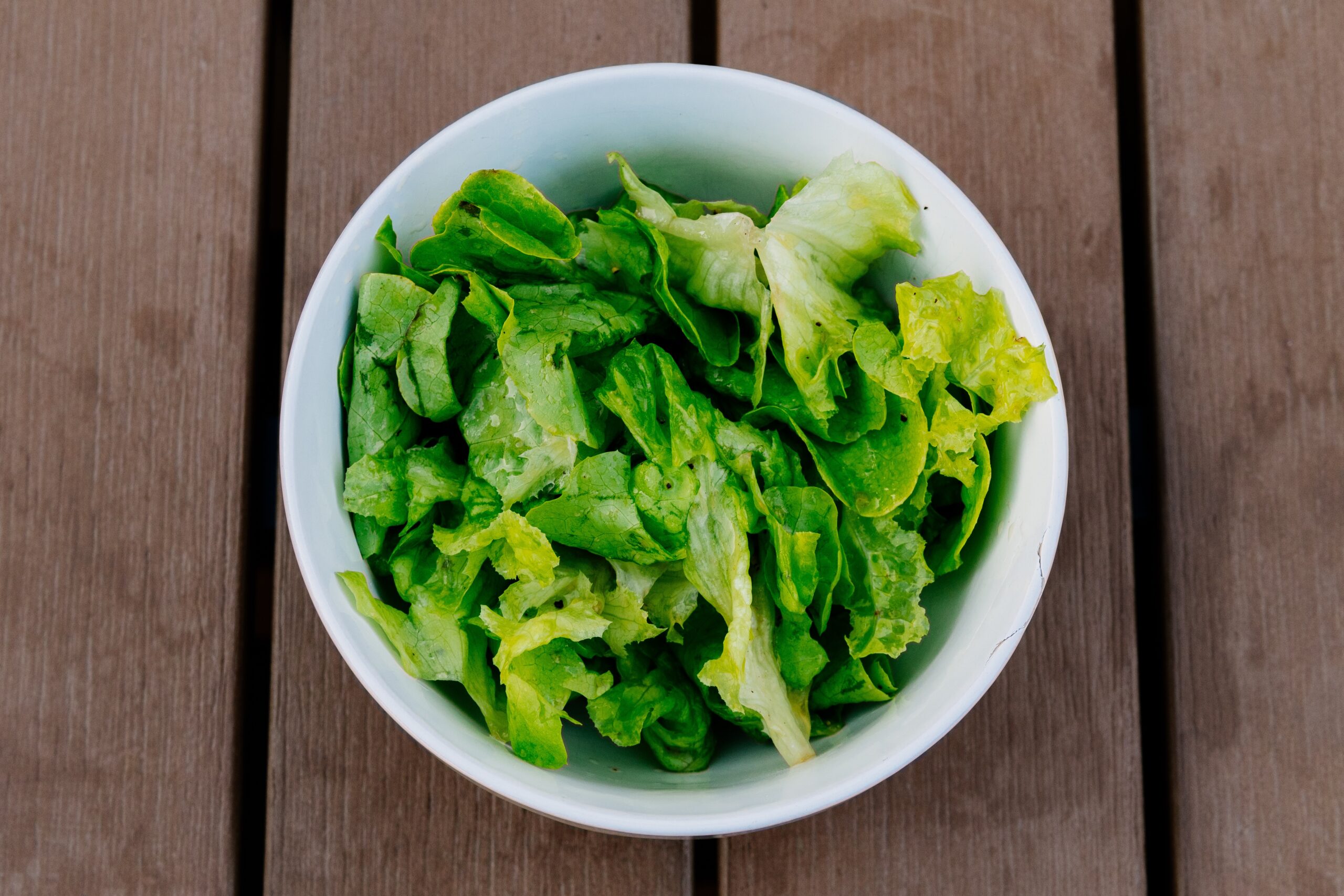 Schüssel mit Römersalat, vom Anbau von Römersalat zu Hause