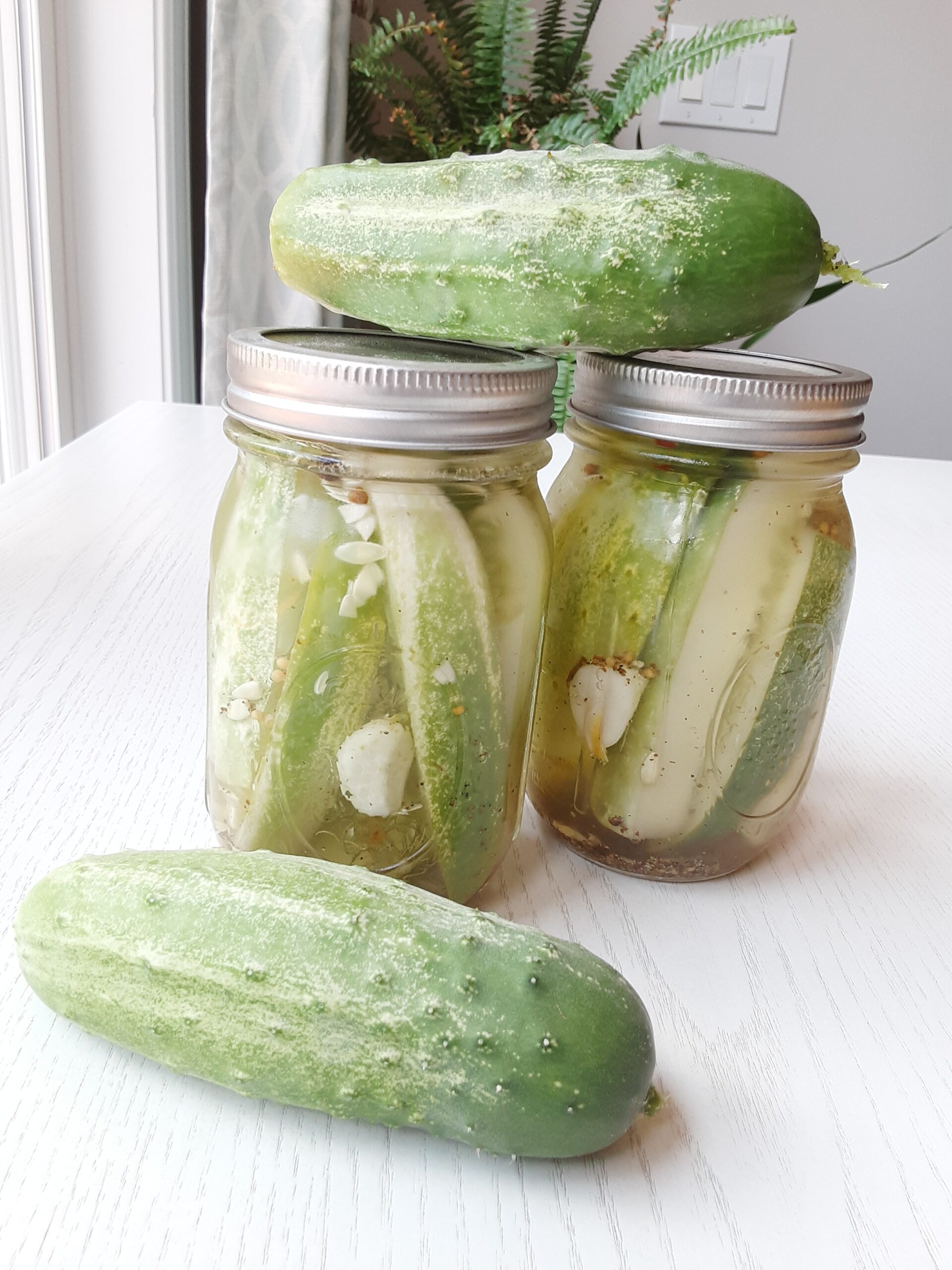 homemade pickles in conning jars