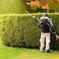 Professional Hedge Cutting Tips for Perfect Borders