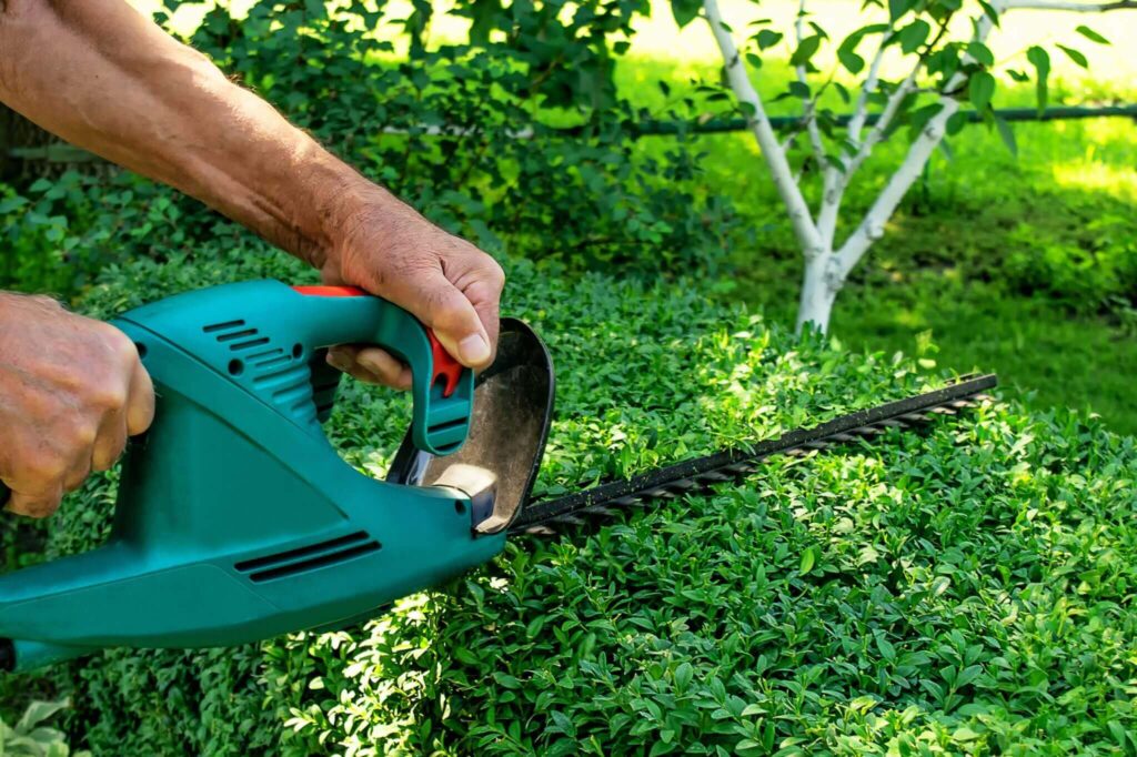 Professional Hedge Cutting Tips