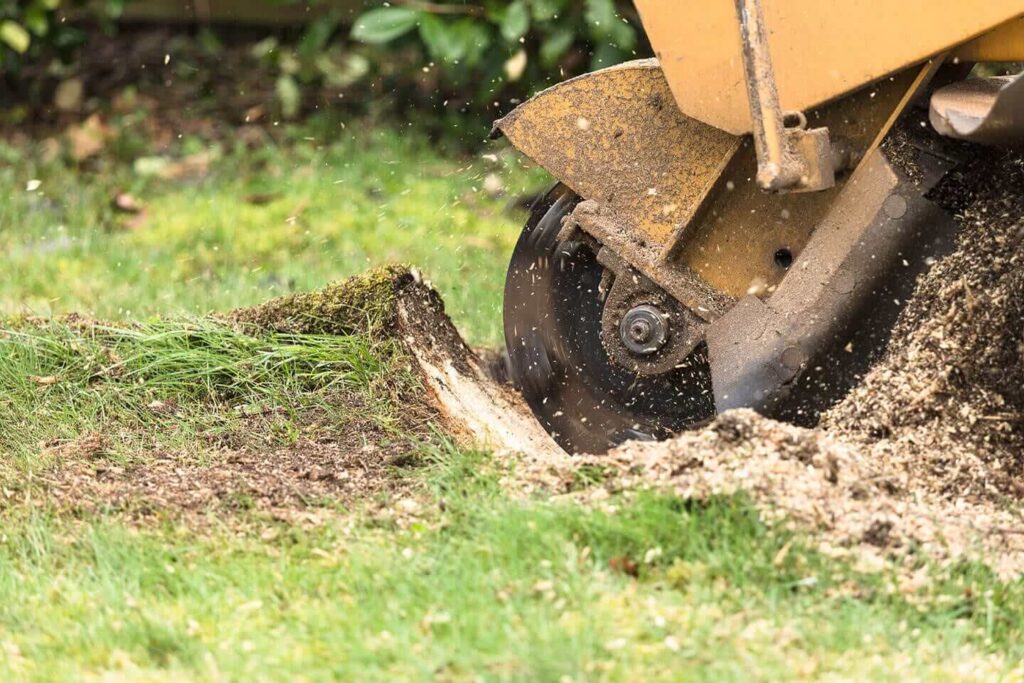 Affordable Stump Grind Services