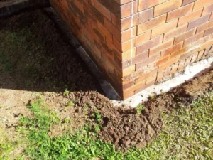 Is a Termite Barrier Sydney Worth the Cost? Your Questions Answered
