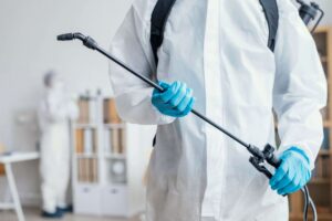 Termite Control Services Explained: What to Expect When You Hire Pros
