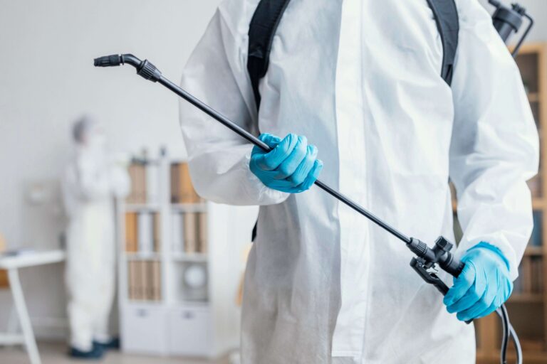 Termite Control Services Explained: What to Expect When You Hire Pros