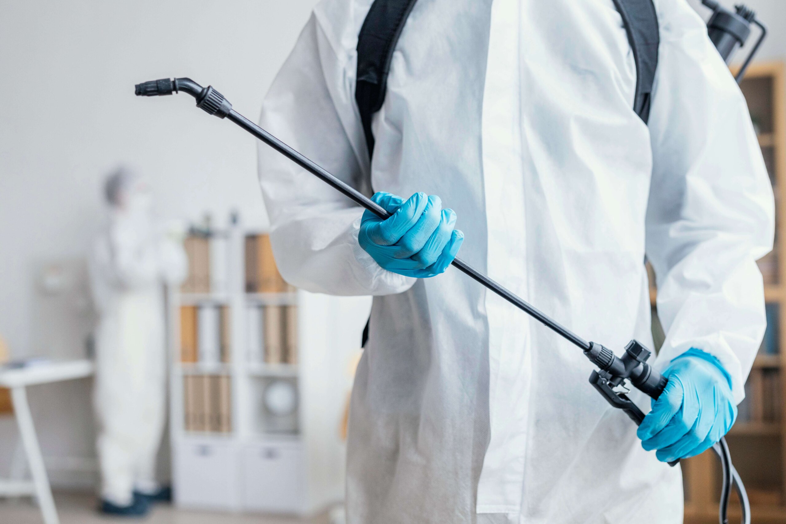Termite Control Services Explained: What to Expect When You Hire Pros