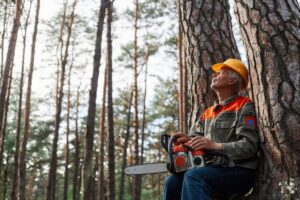 tree care