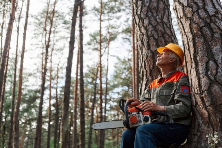 tree care