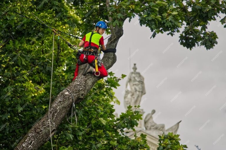 tree care